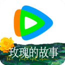 二刷深圳霁月